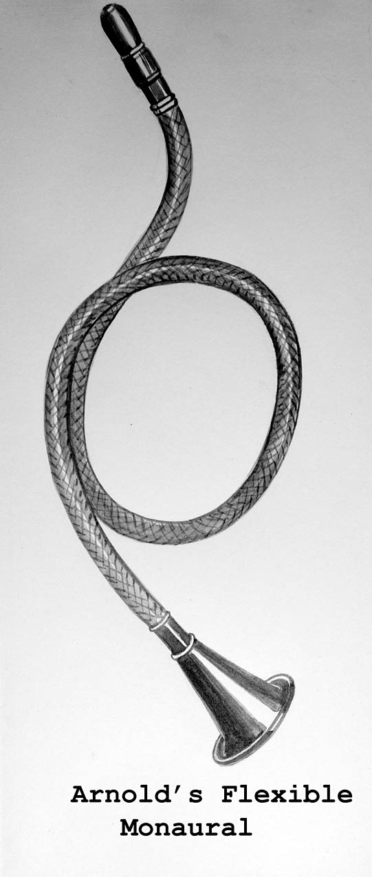 Magnified image for image #1