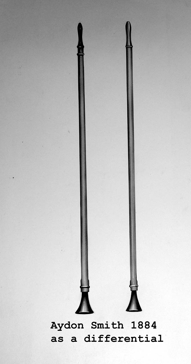 Magnified image for image #1