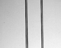 Photo of Ayden Smith as a differential (stethoscope_drawing___mumie_021jpg)