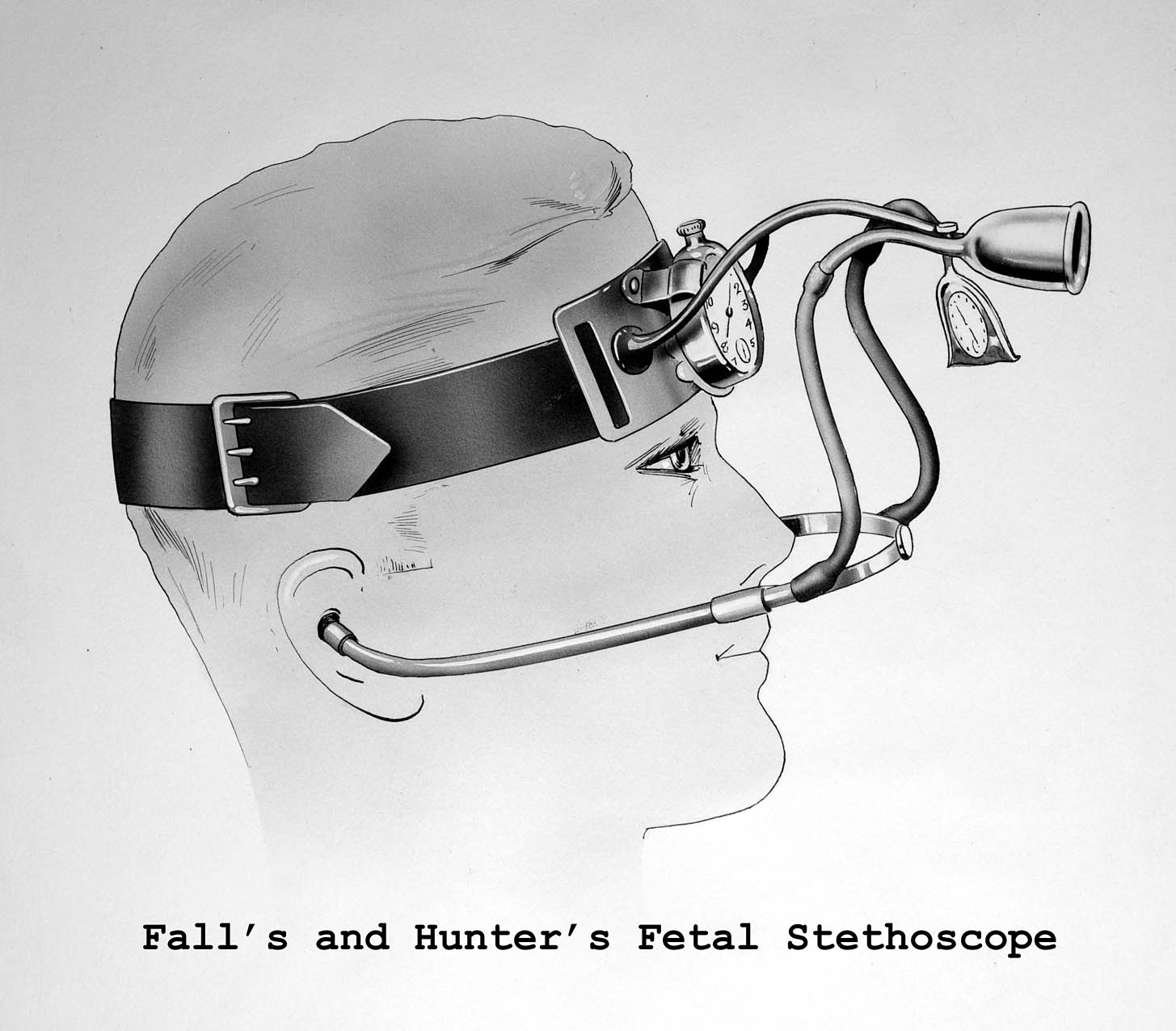 Magnified image for image #1