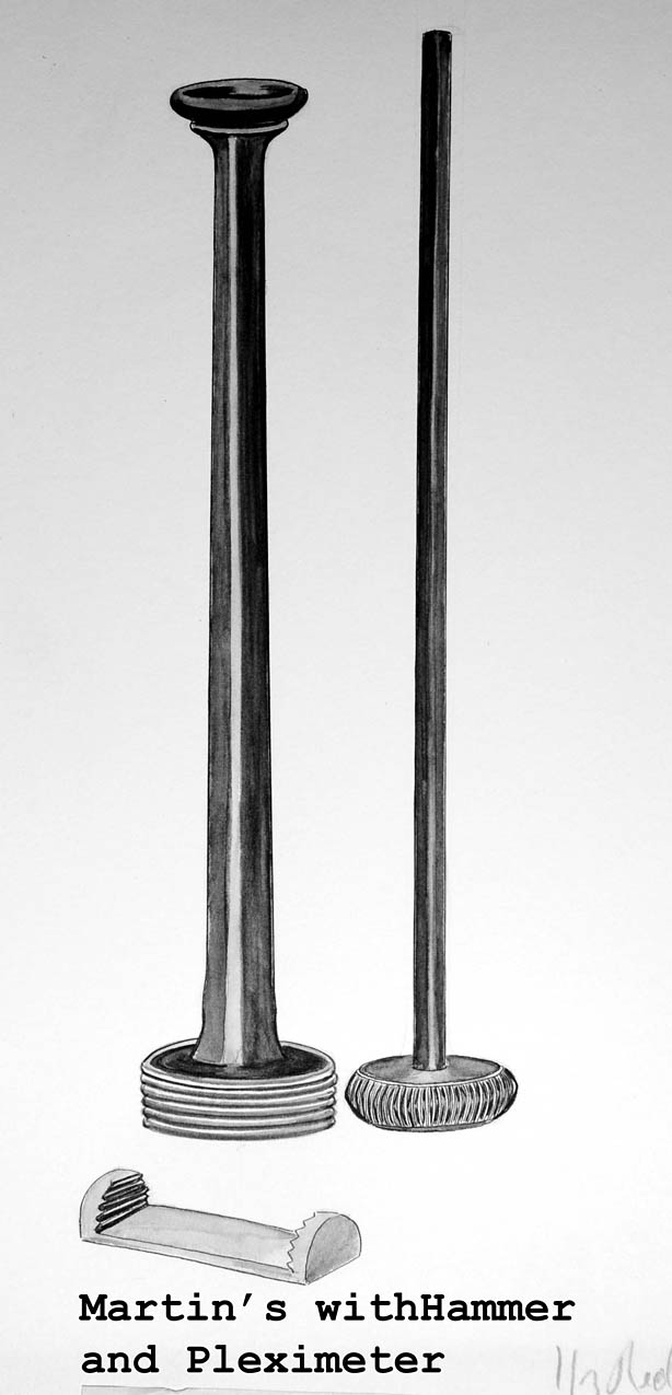 Magnified image for image #1