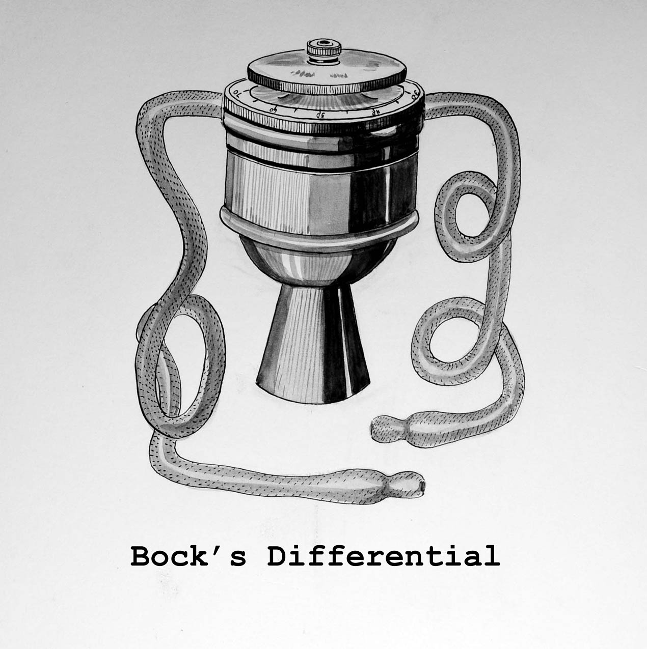 Magnified image for image #1