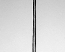 Photo of Loomis (stethoscope_drawing___mumie_046jpg)