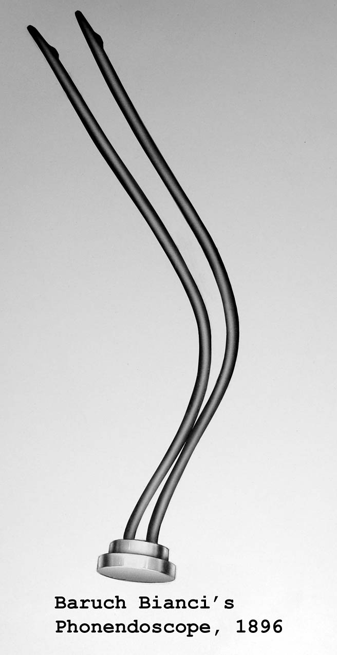 Magnified image for image #1