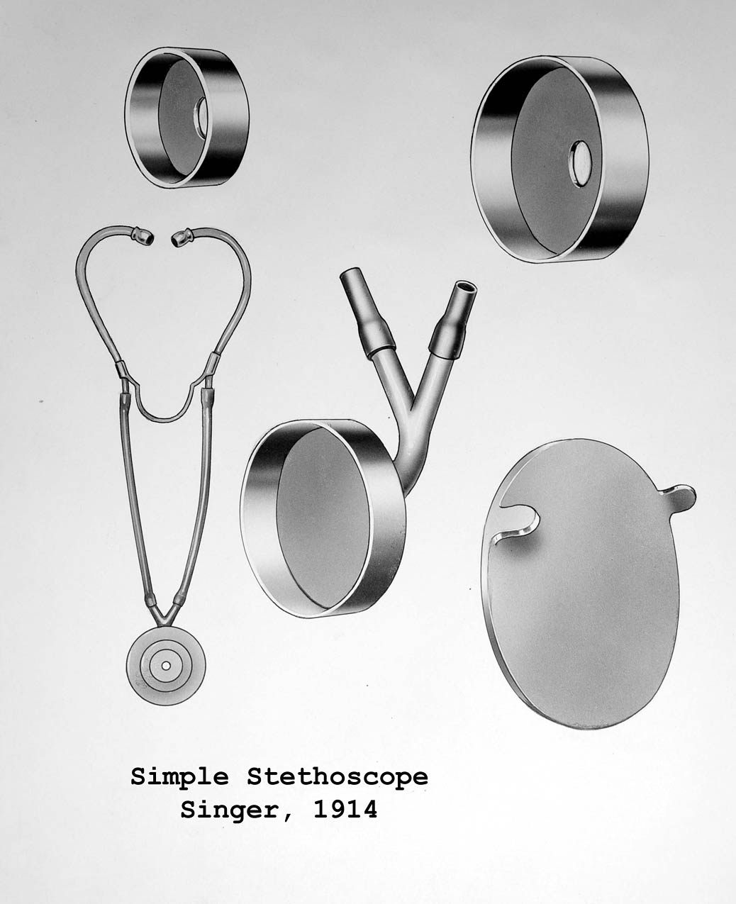 Magnified image for image #1