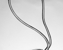 Photo of Duplex Stethoscope (stethoscope_drawing___mumie_063jpg)