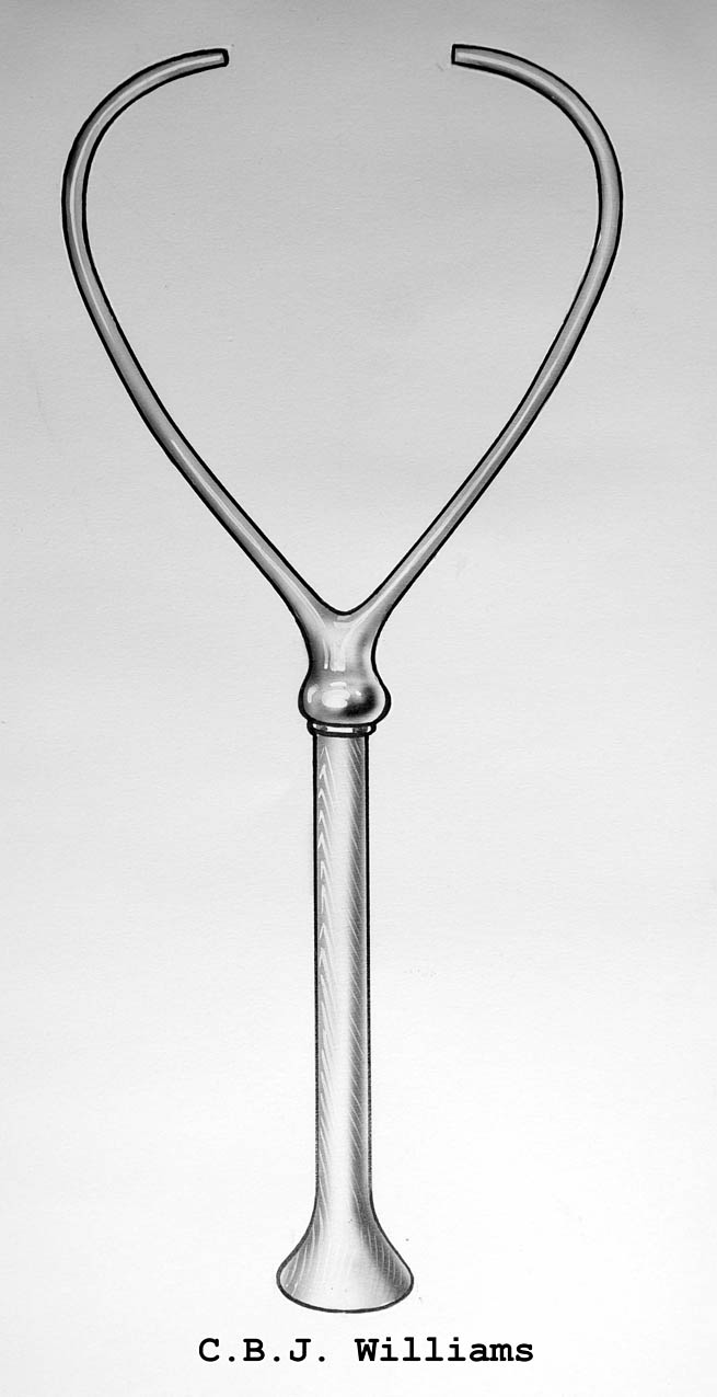 Magnified image for image #1