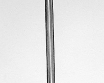 Photo of Burrow’s (stethoscope_drawing___mumie_073jpg)