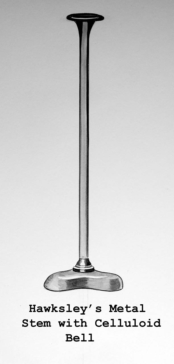 Magnified image for image #1