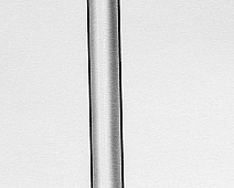 Photo of Dr. Williams’ (stethoscope_drawing___mumie_082jpg)