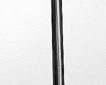 Photo of Robert’s (stethoscope_drawing___mumie_086jpg)