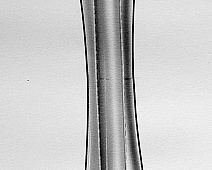 Photo of Laennec Second Model Modified (stethoscope_drawing___mumie_098jpg)