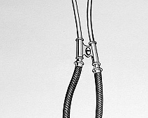 Photo of University (stethoscope_drawing___mumie_108jpg)