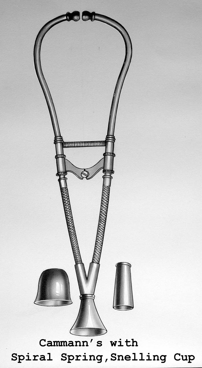 Magnified image for image #1