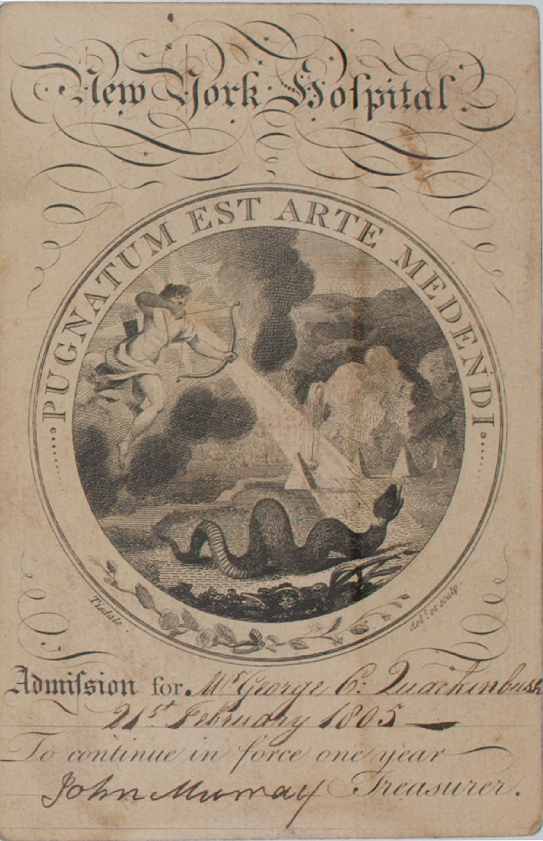 Magnified image for image #6