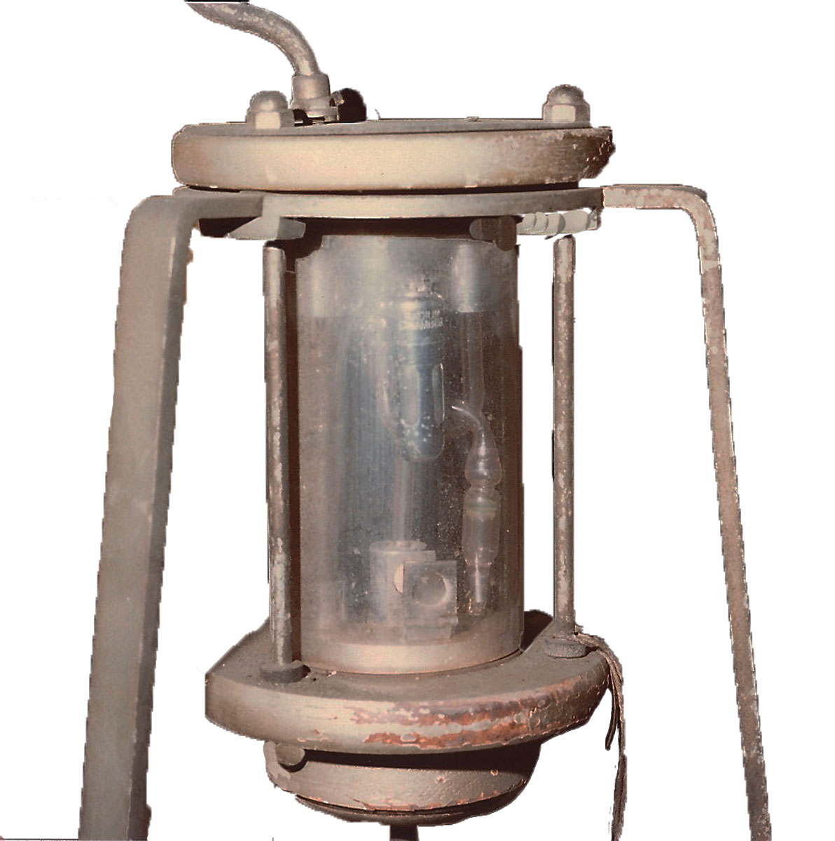 Magnified image for image #1