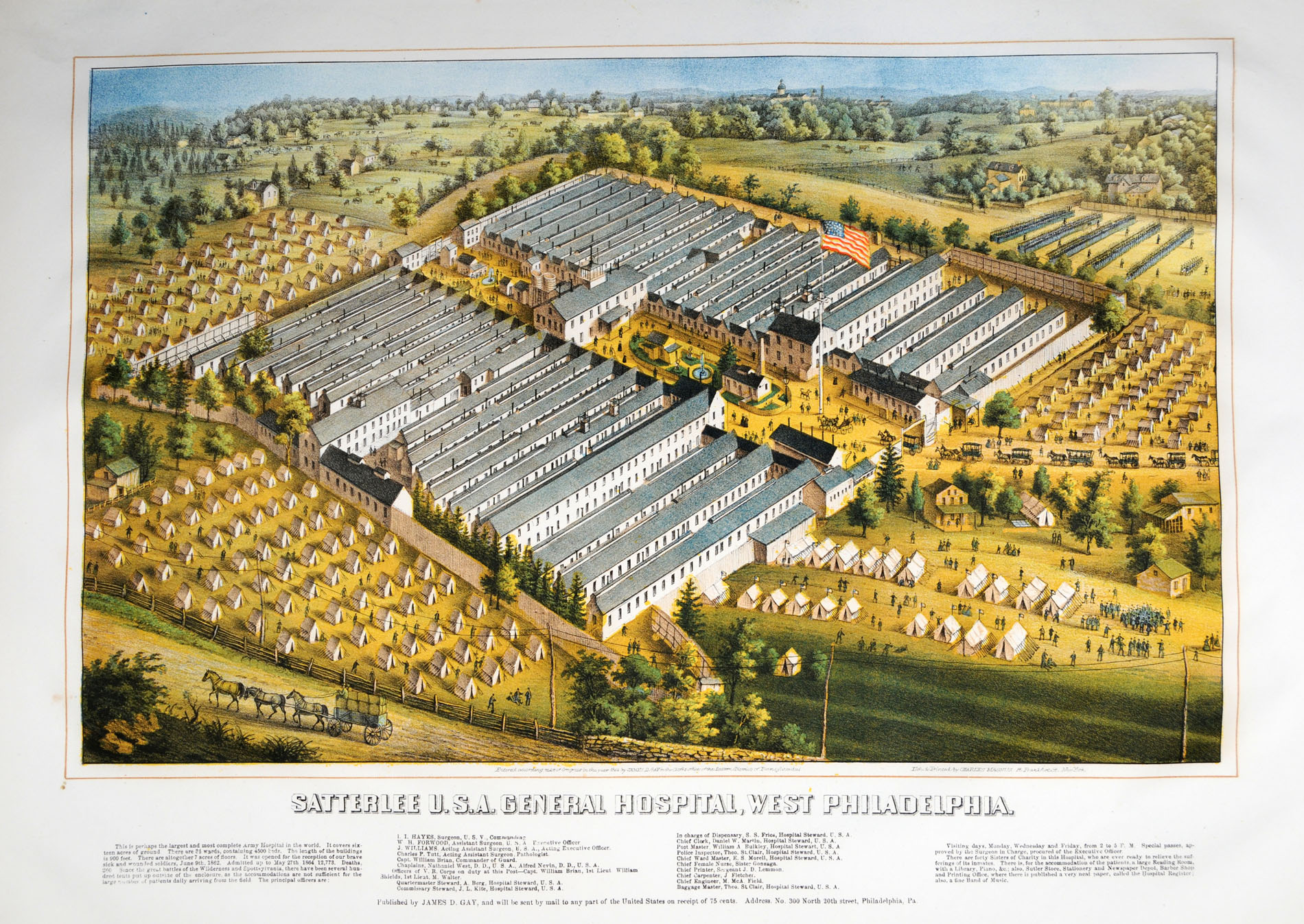 Magnified image for image #1