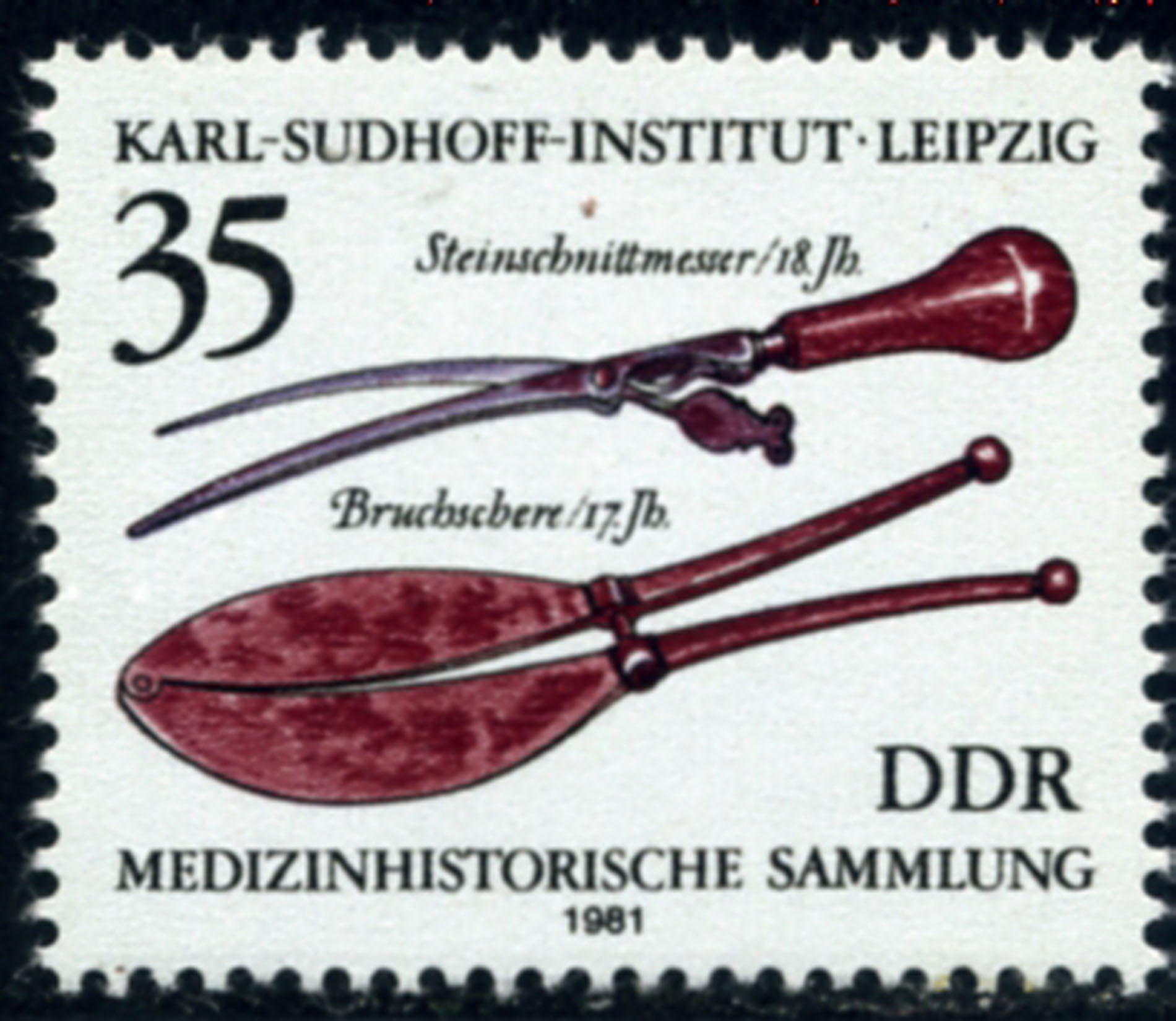 Magnified image for image #1