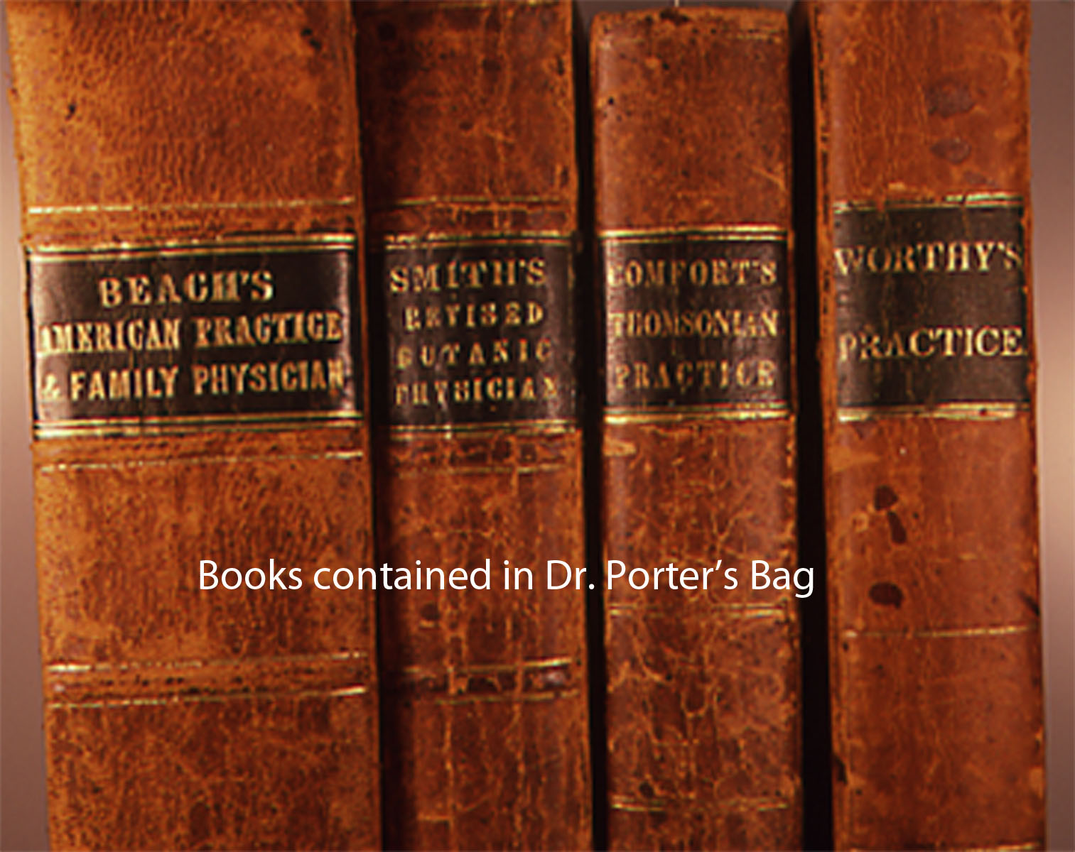 Magnified image for image #7