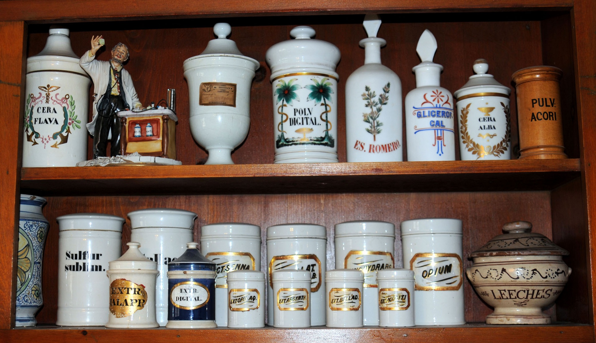 Magnified image for image #1