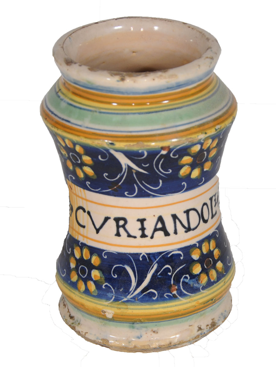 Magnified image for image #1