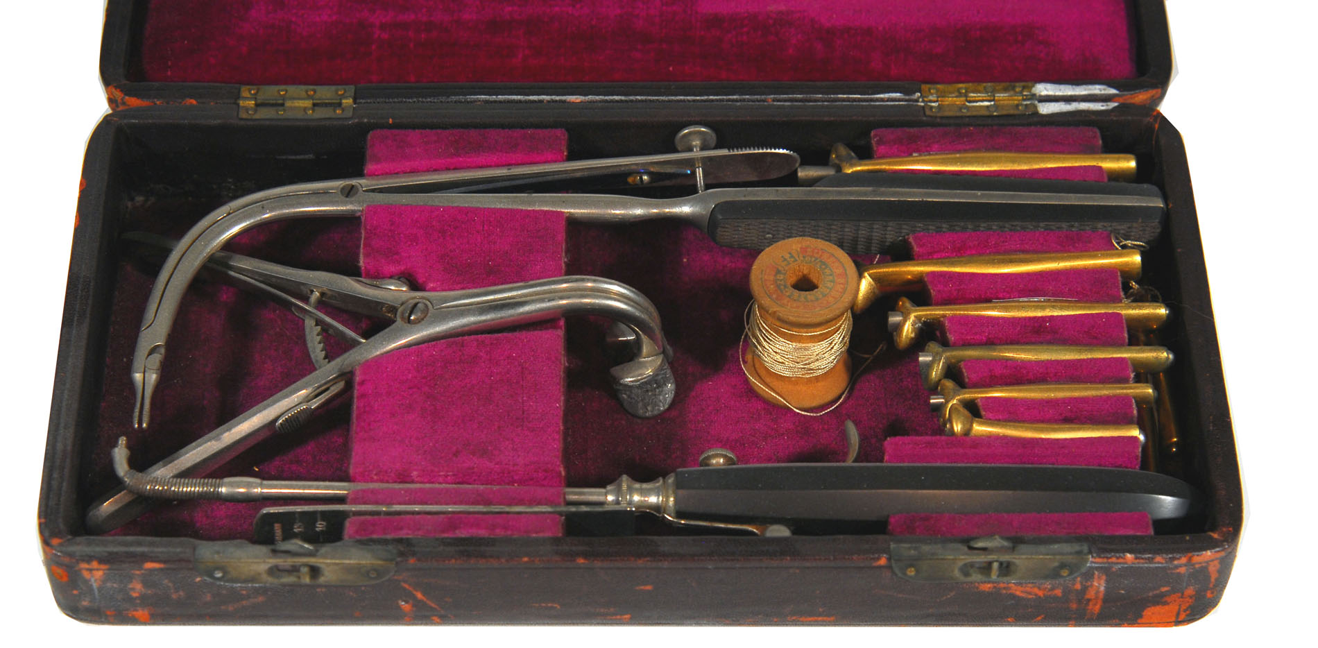 Magnified image for image #1