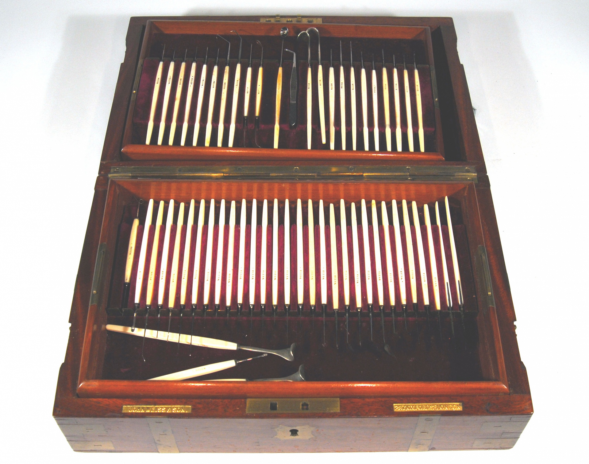 Magnified image for image #2