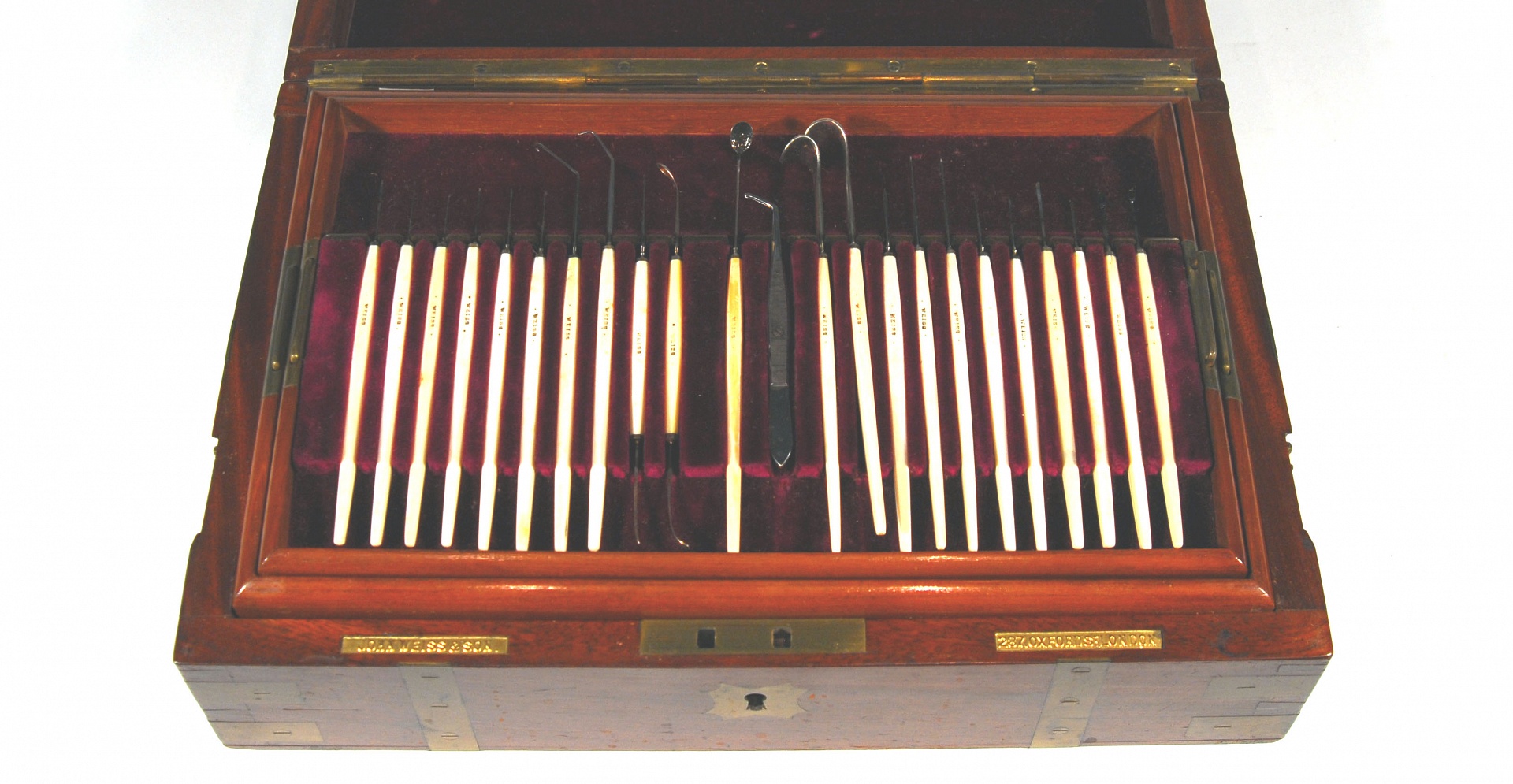 Magnified image for image #3