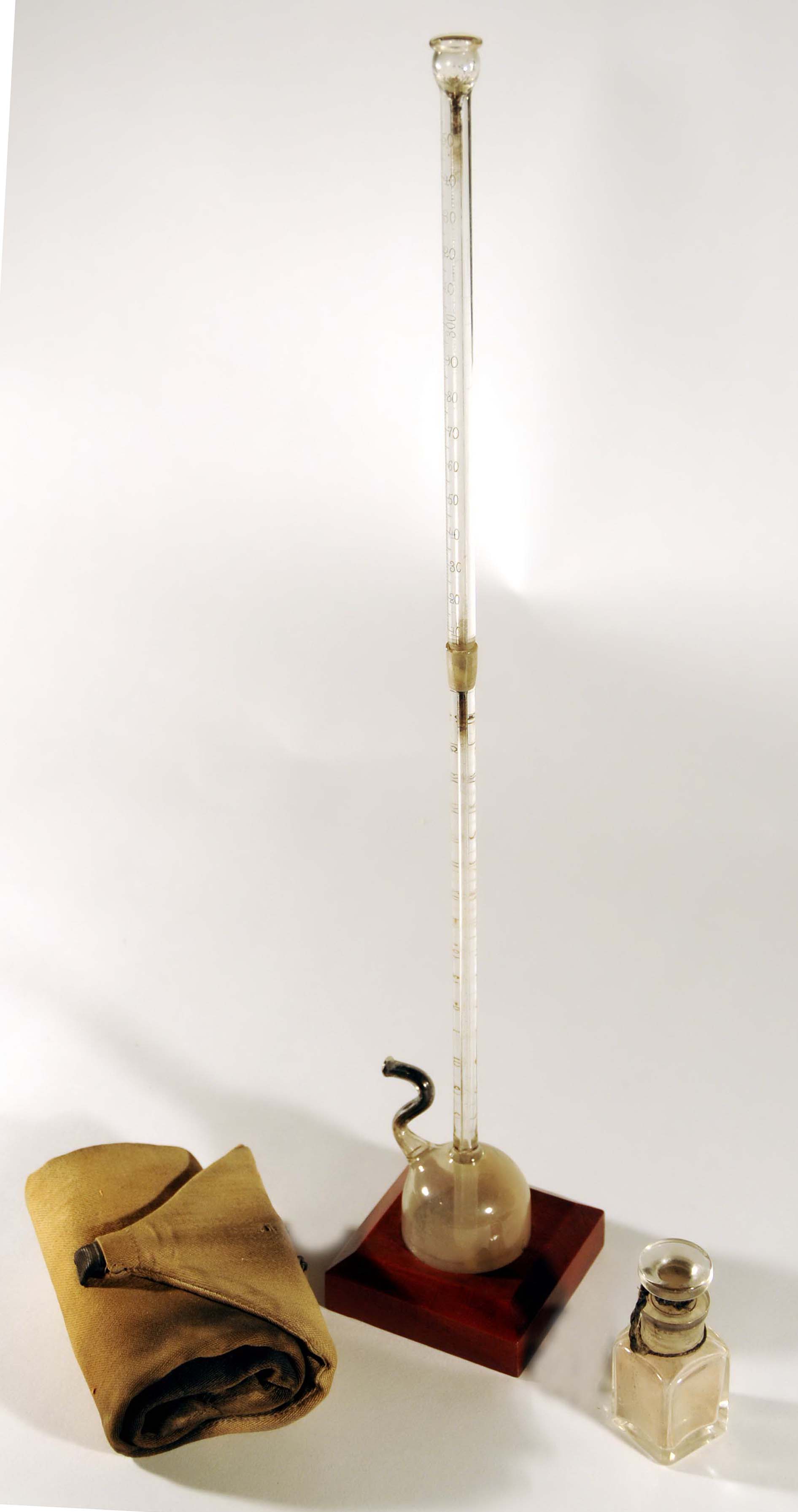 Magnified image for image #1