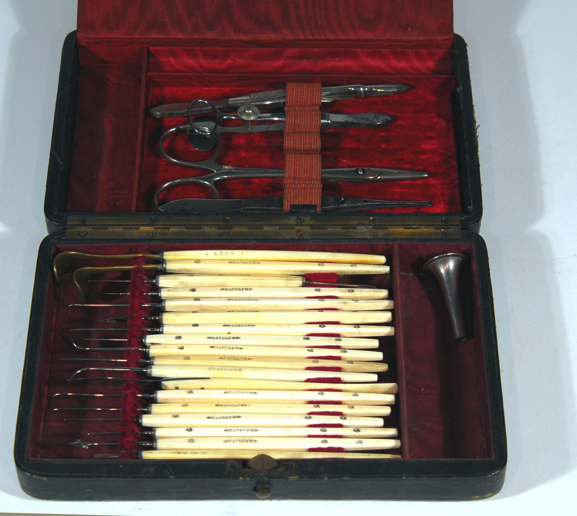 Magnified image for image #2