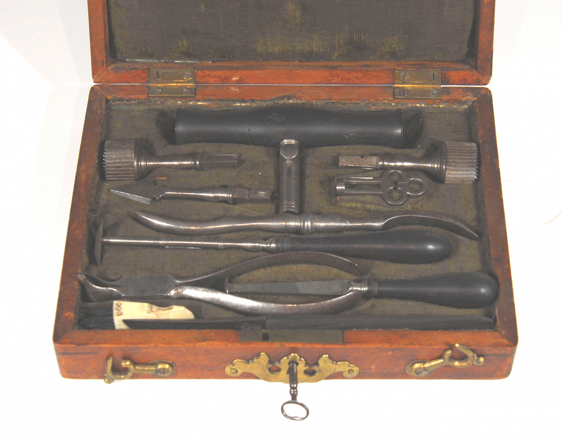 Magnified image for image #1