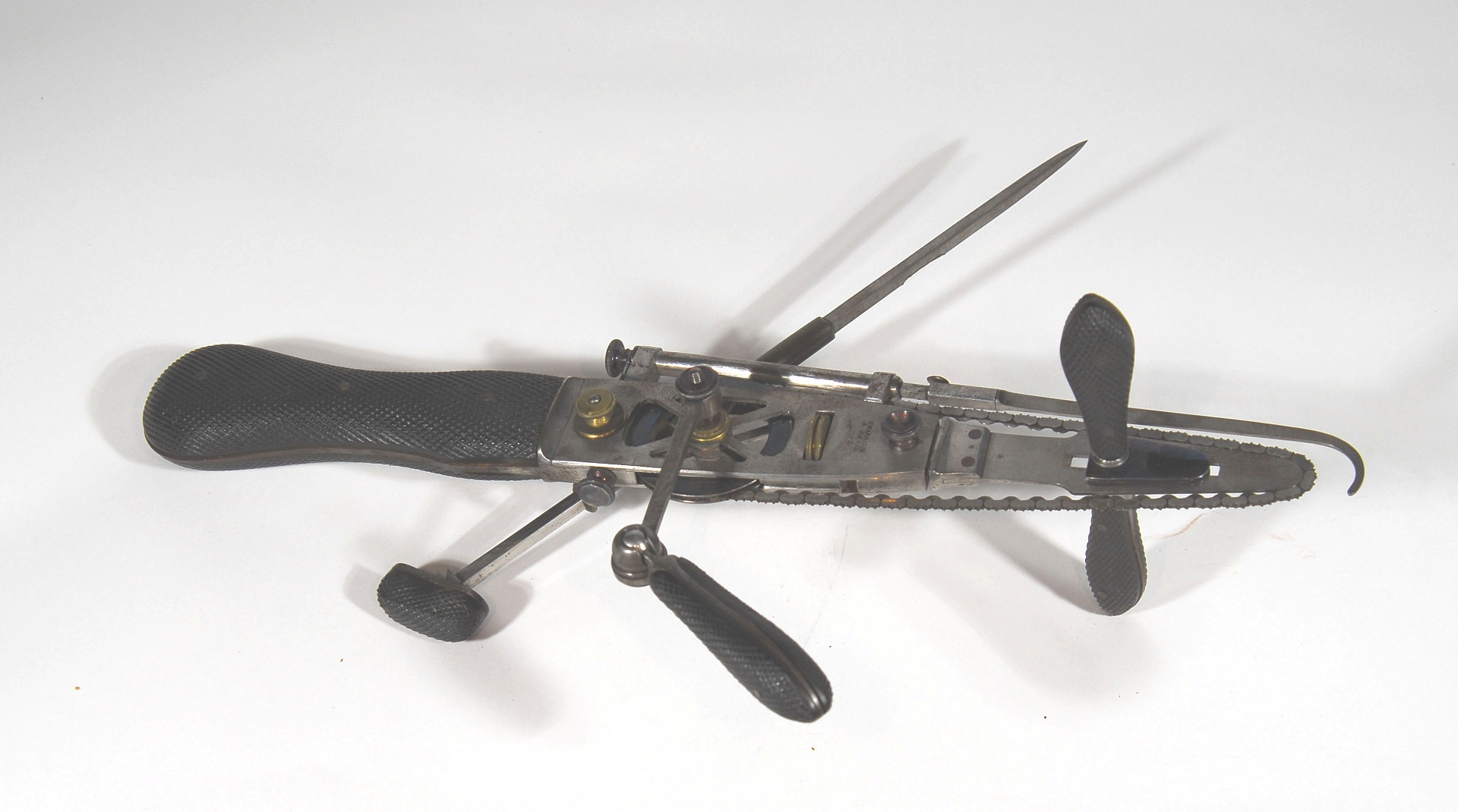 Magnified image for image #1