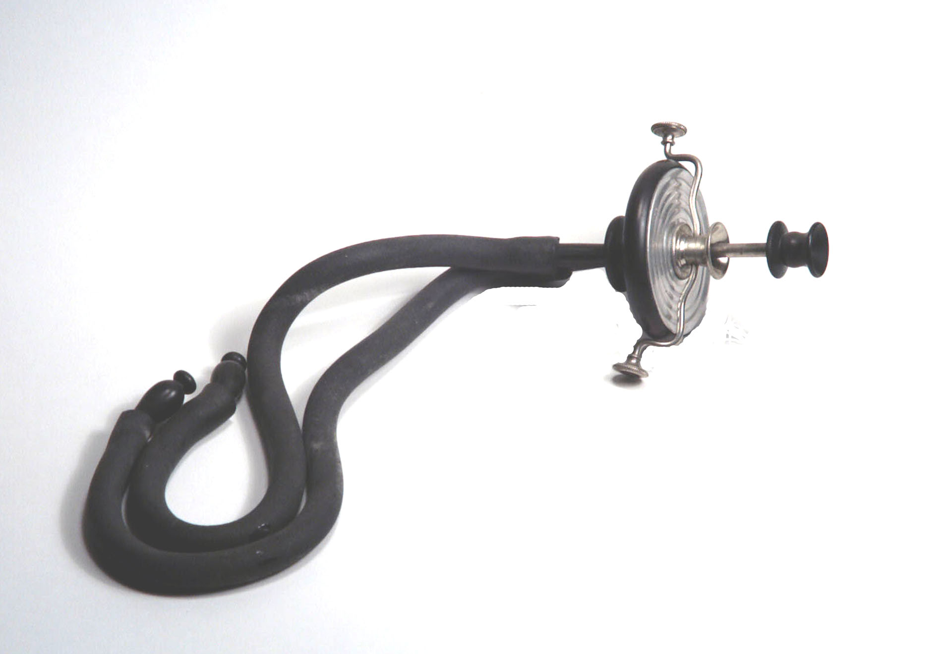 Magnified image for image #1