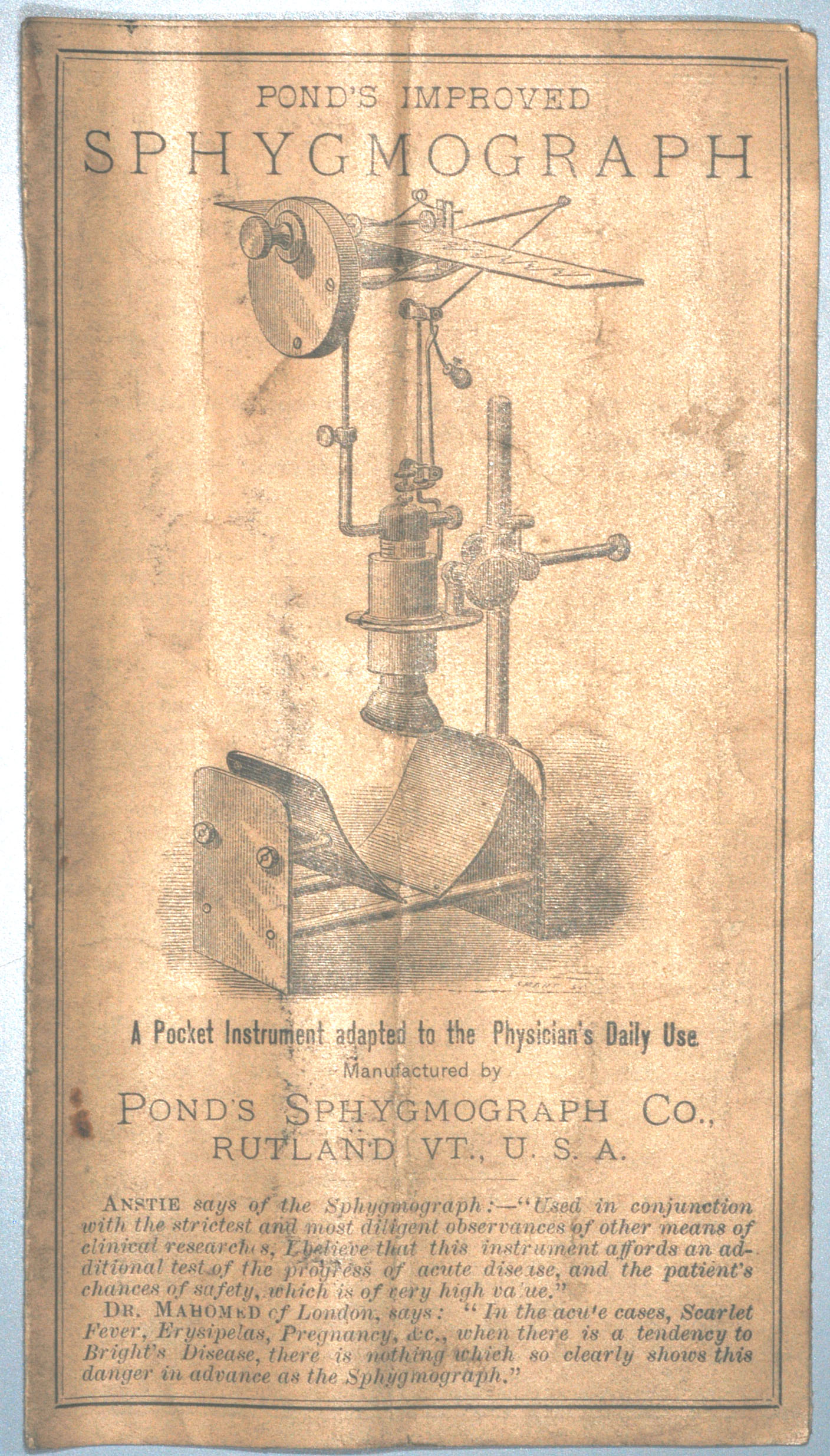 Magnified image for image #3