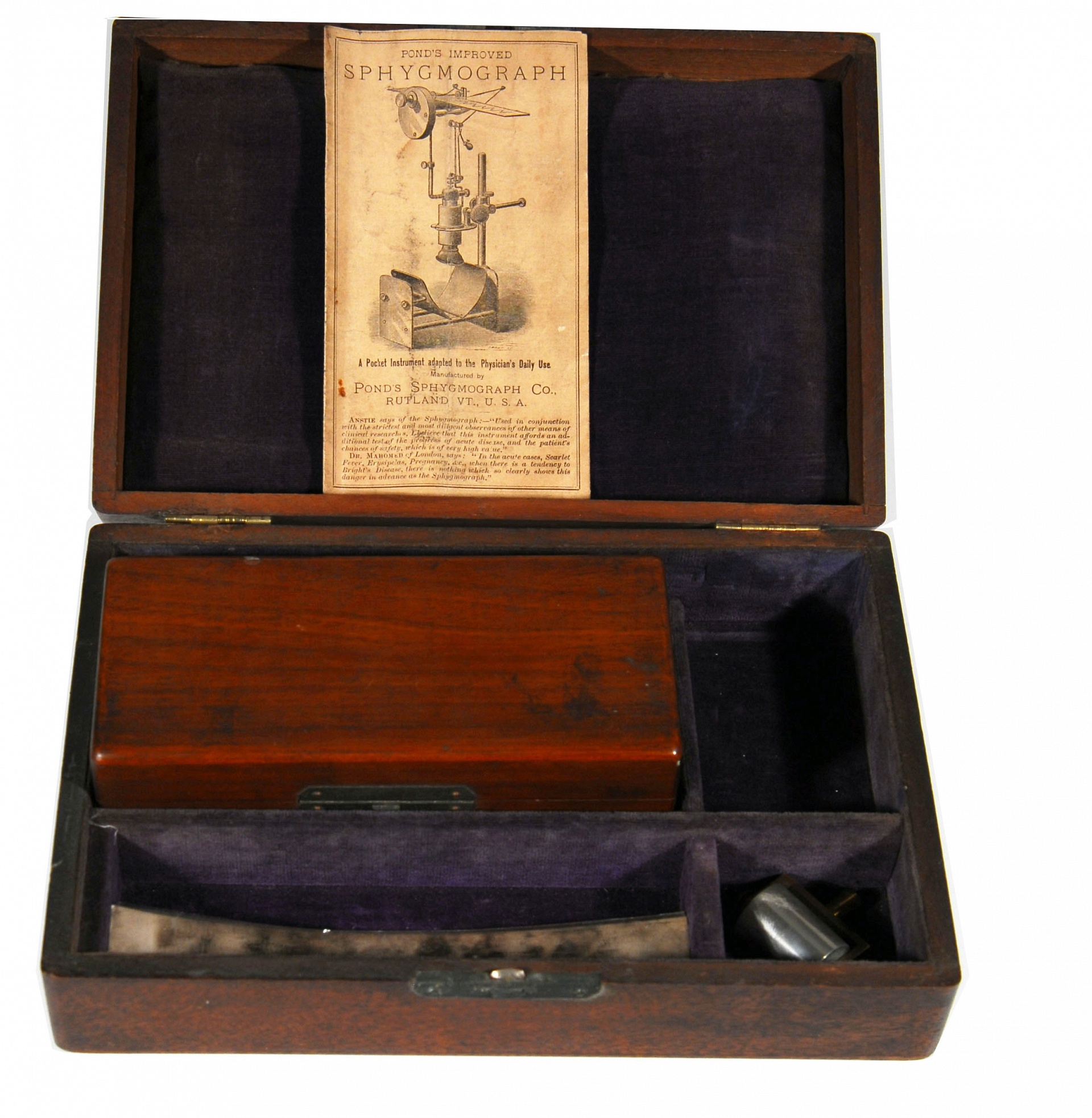 Magnified image for image #6