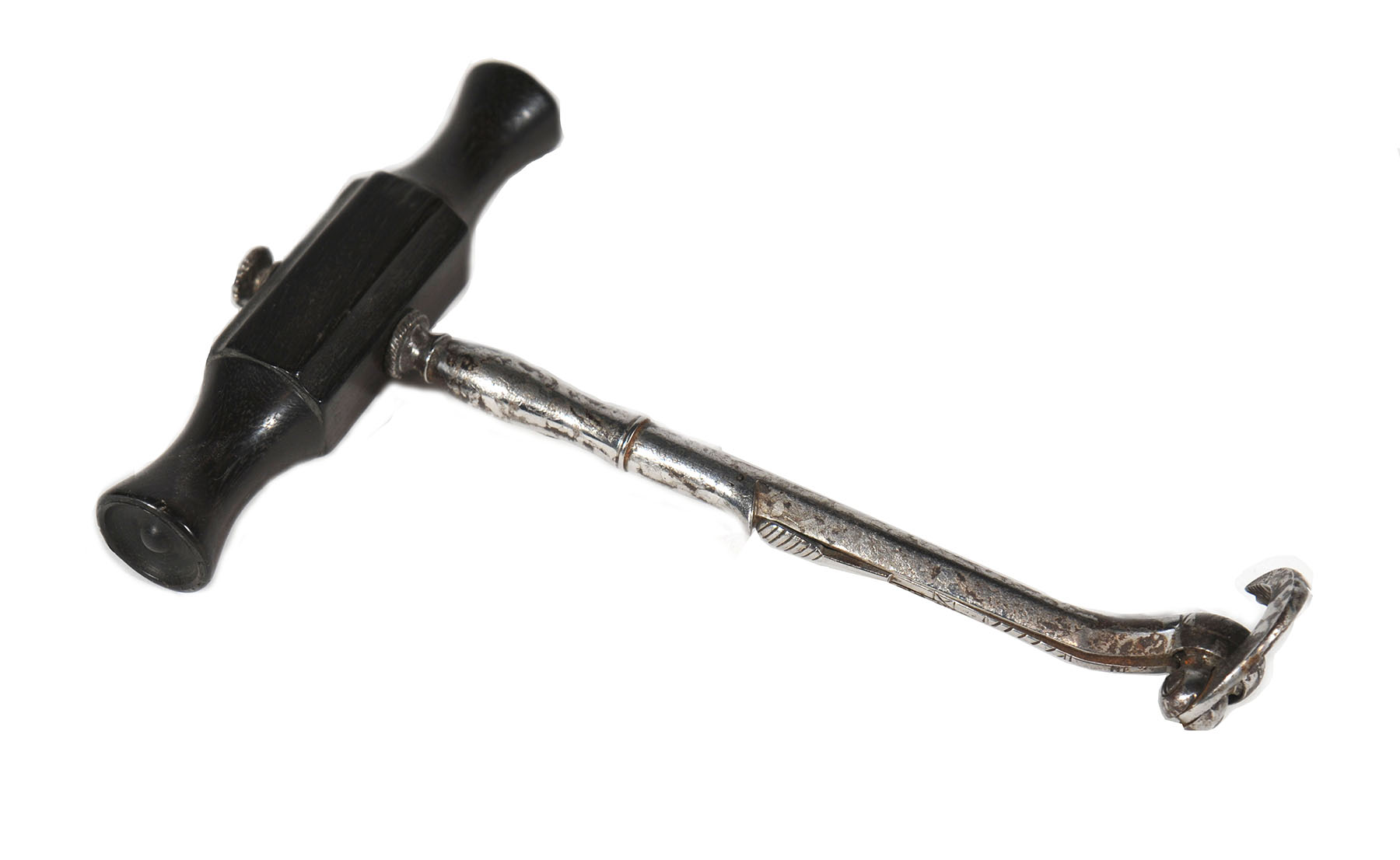 Magnified image for image #1