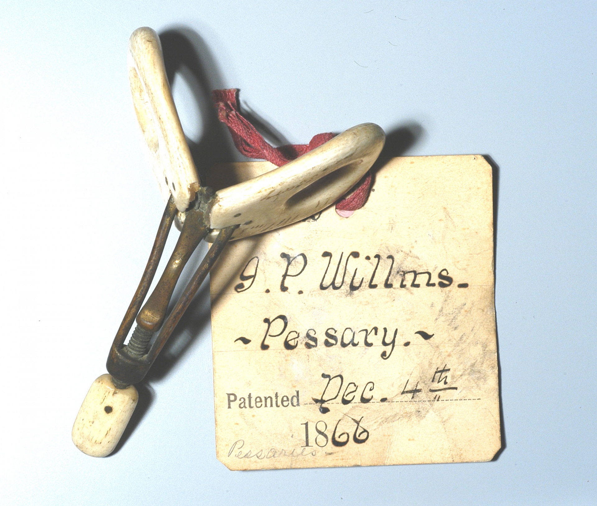 Magnified image for image #1