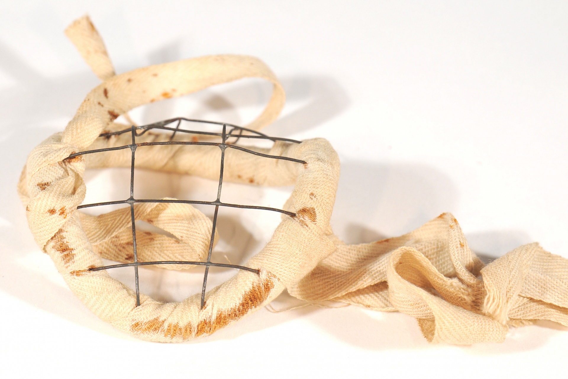 Magnified image for image #1