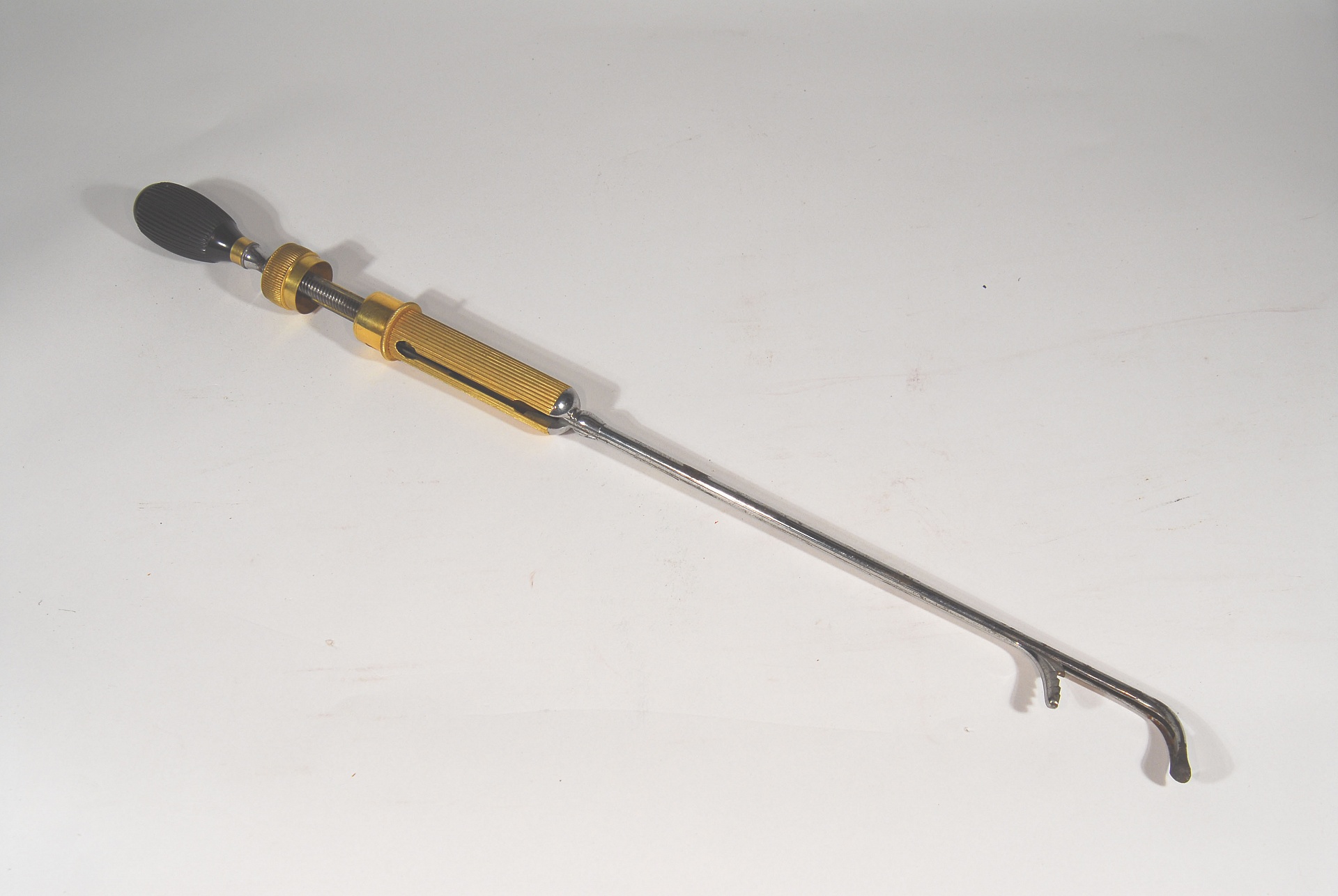 Magnified image for image #1