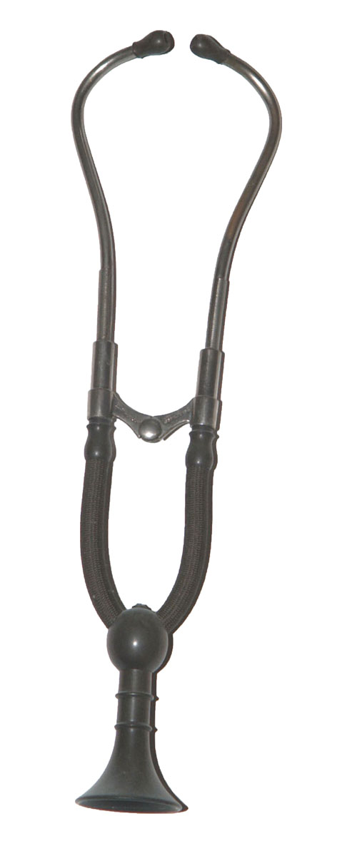 Magnified image for image #1