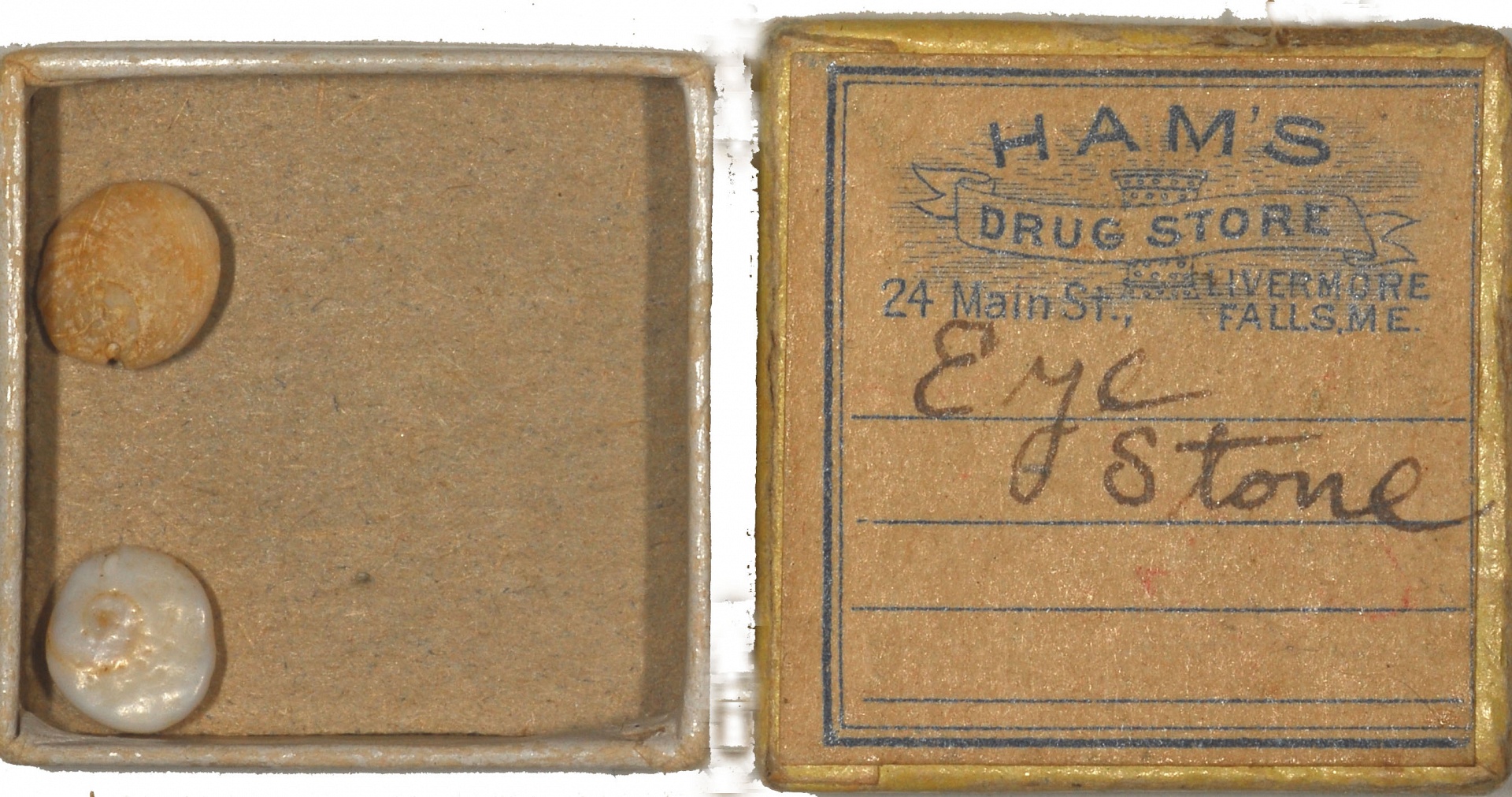 Magnified image for image #1