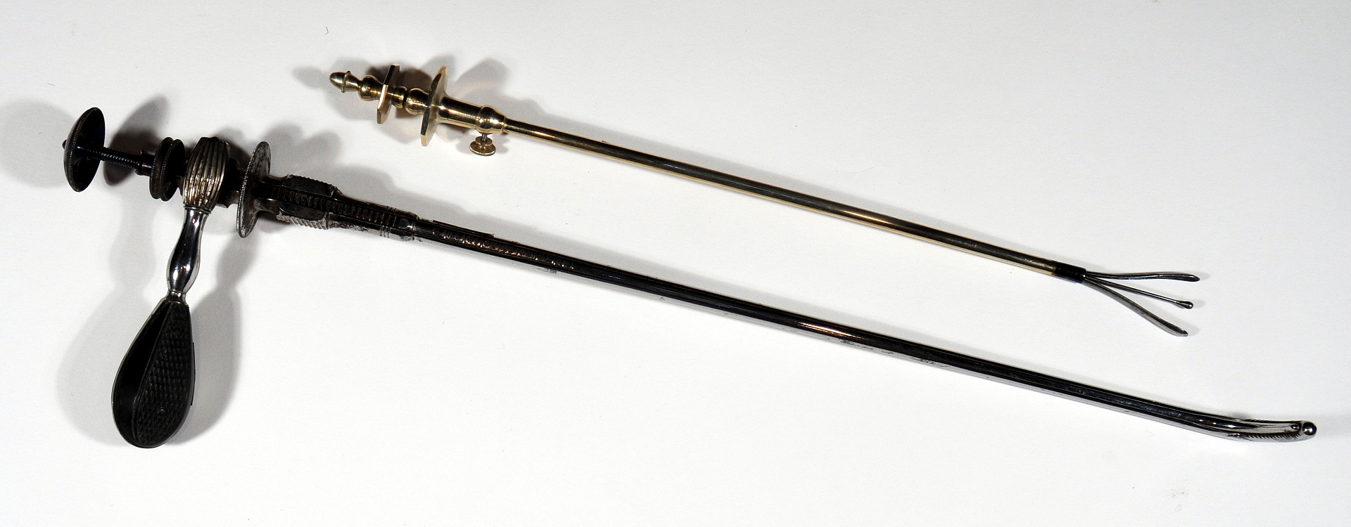 Magnified image for image #5