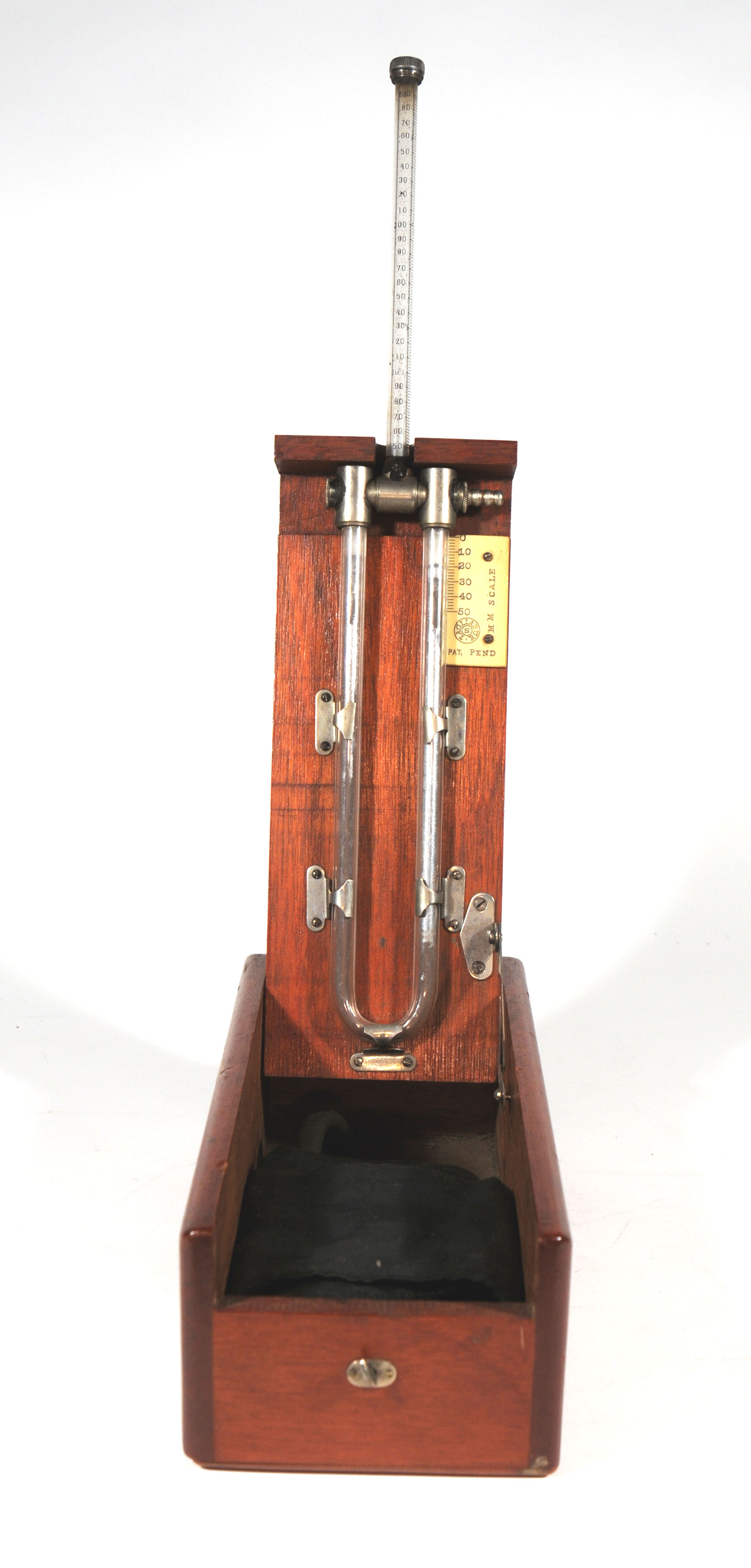 Magnified image for image #1