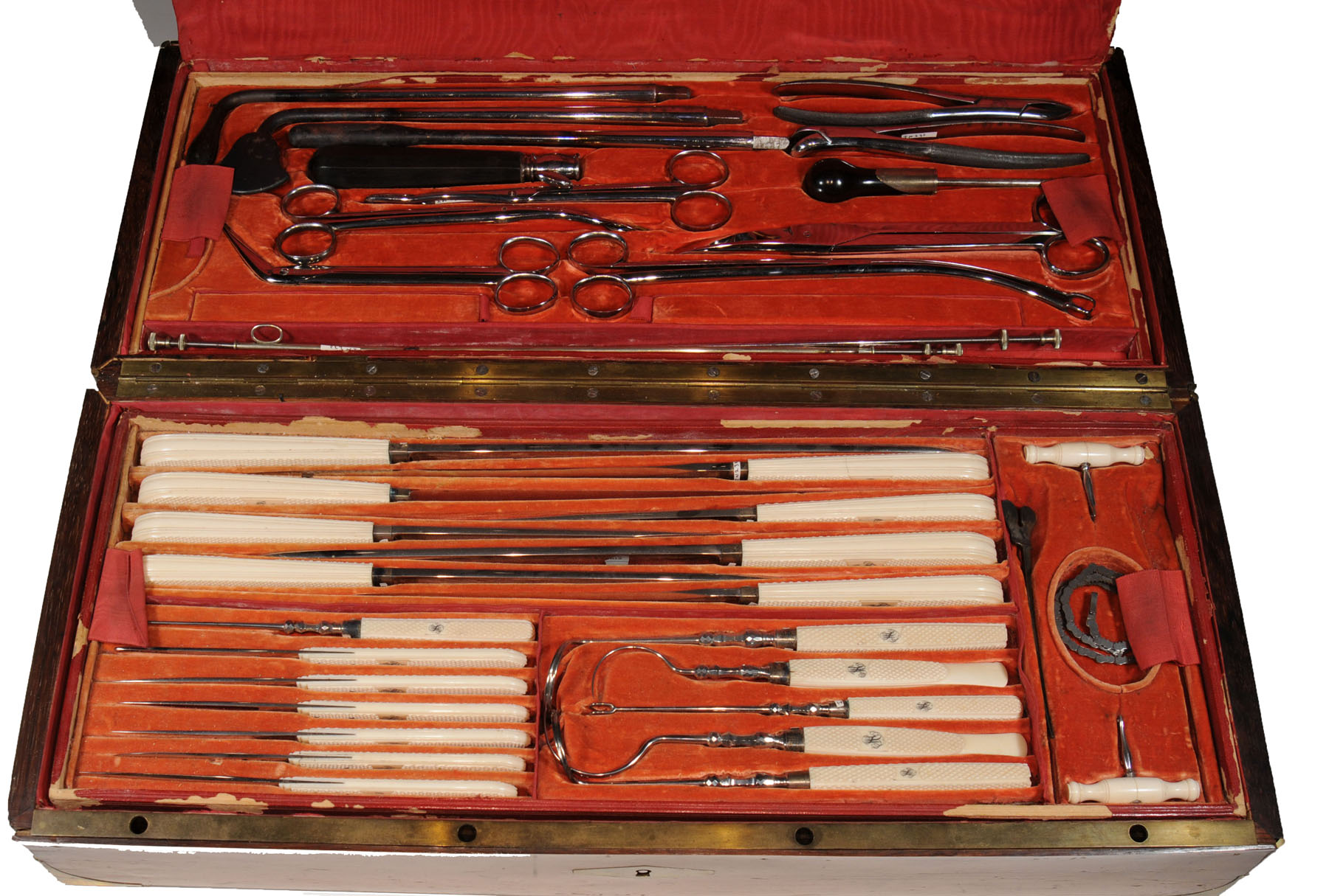 Magnified image for image #1