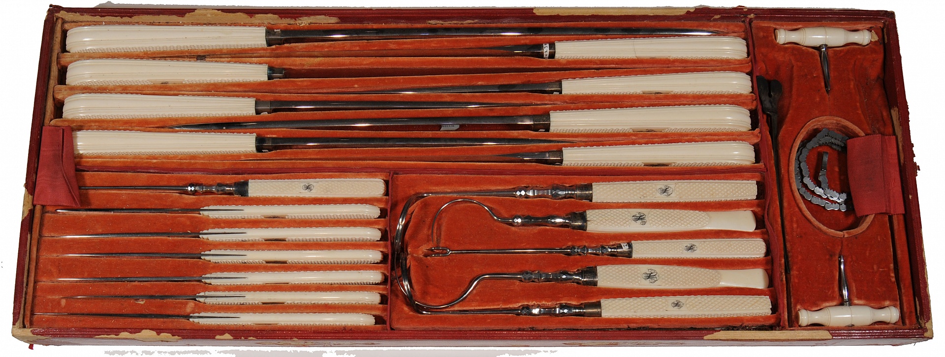 Magnified image for image #2