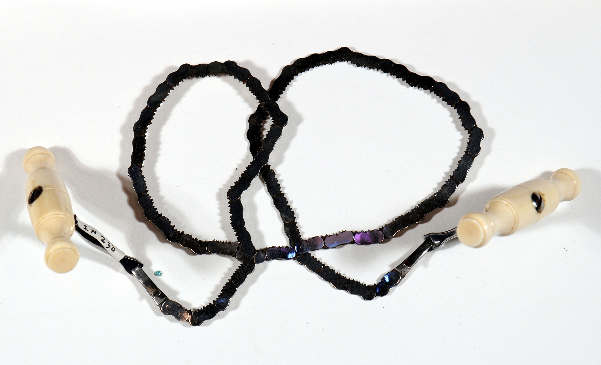 Magnified image for image #3