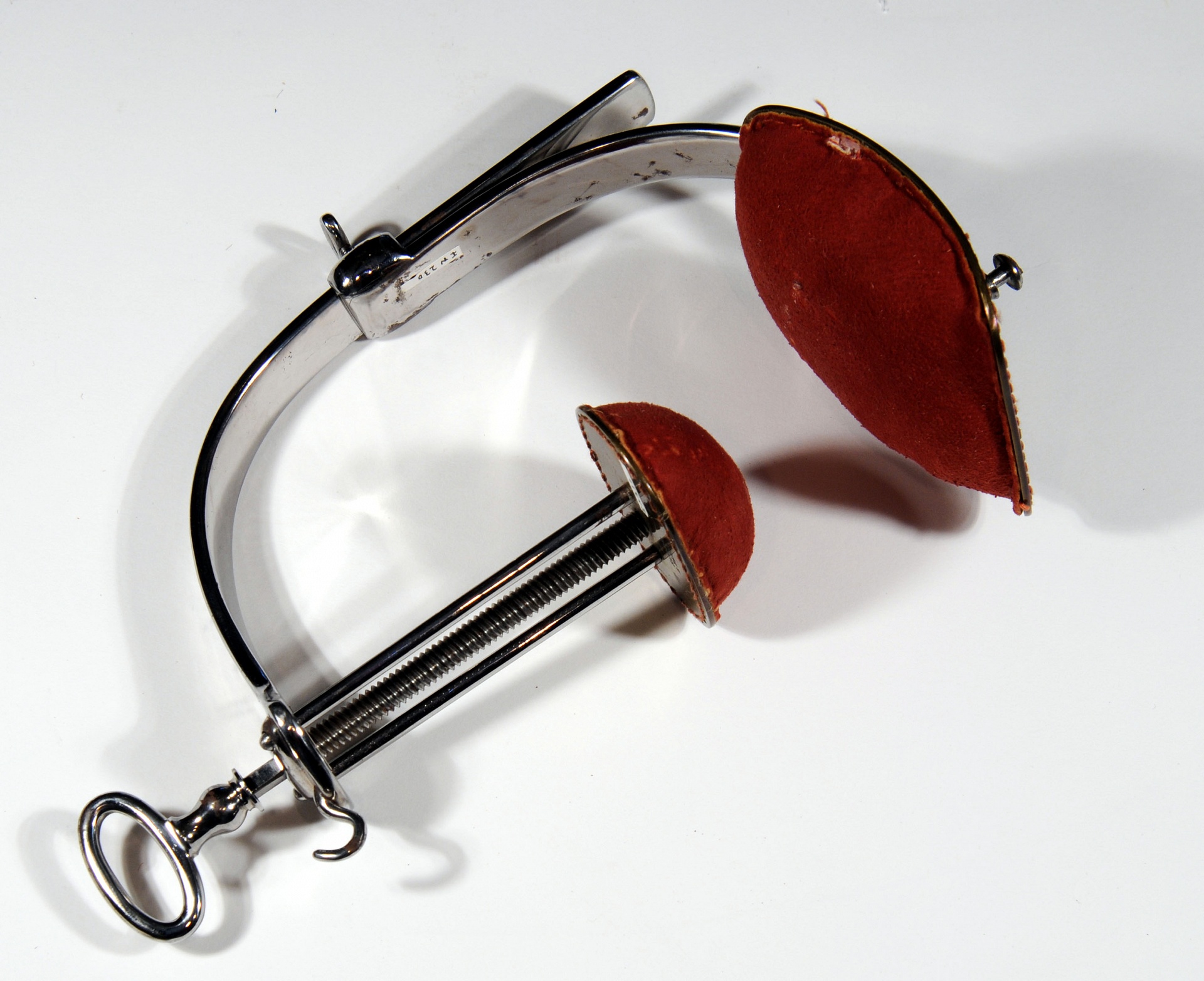 Magnified image for image #9