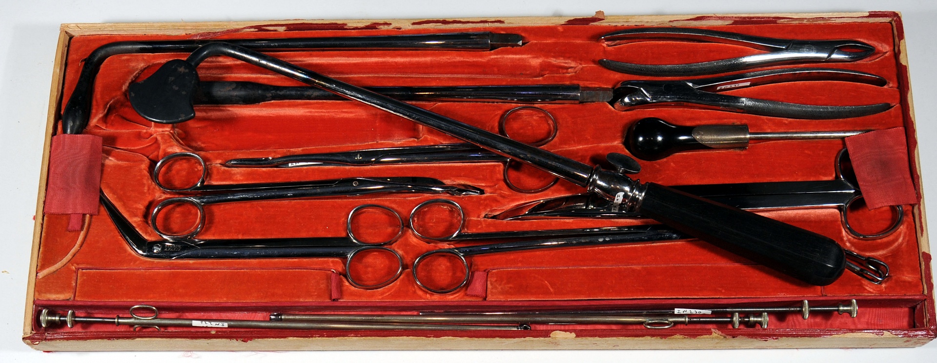 Magnified image for image #10