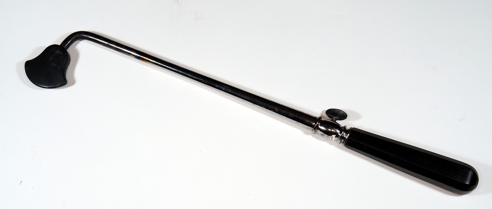 Magnified image for image #11