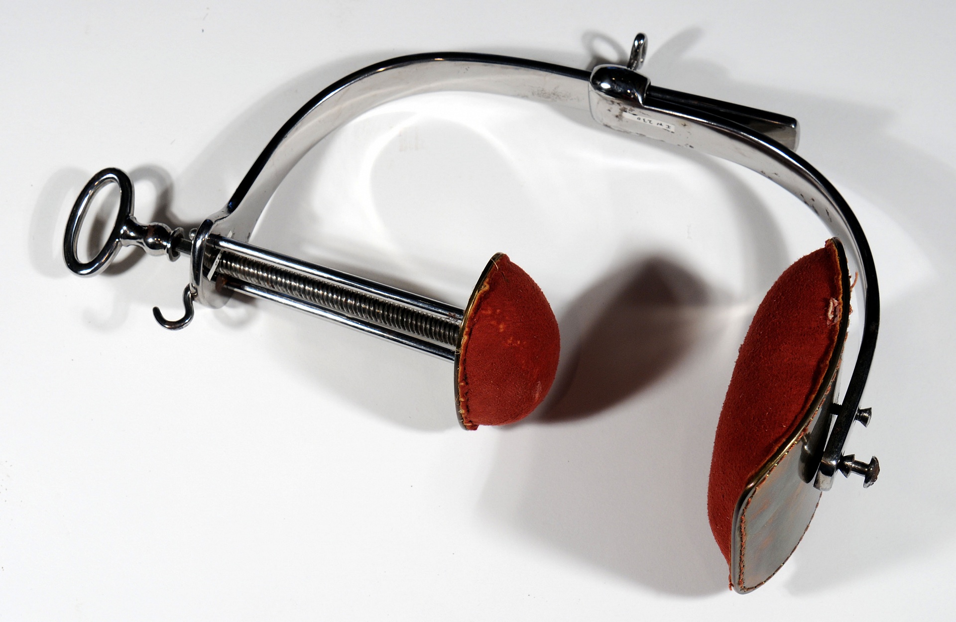 Magnified image for image #12